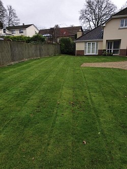 Grass cut