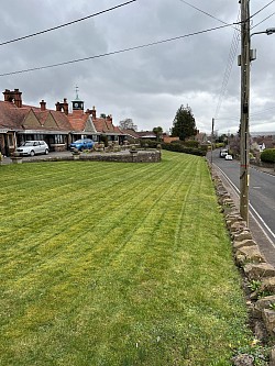 Grass cut
